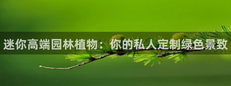 天顺娱乐负责人旡援助pg58856