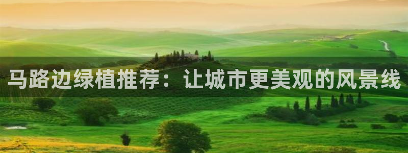 瑞丽市天顺娱乐会所电话:马路边绿植推荐:让城市更美观的风景线
