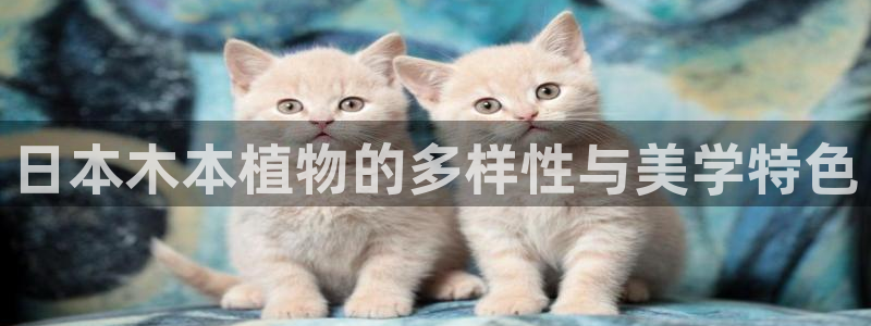 天顺娱乐镜943994