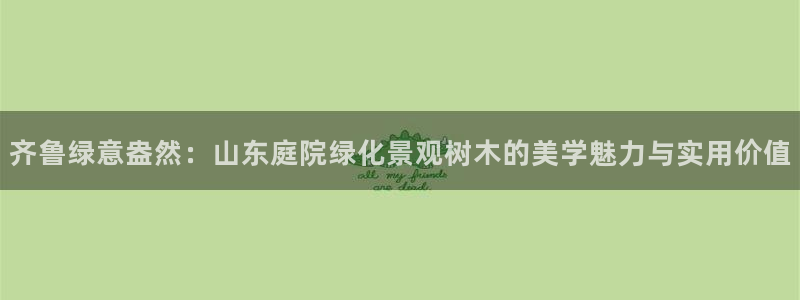 江苏天顺娱乐