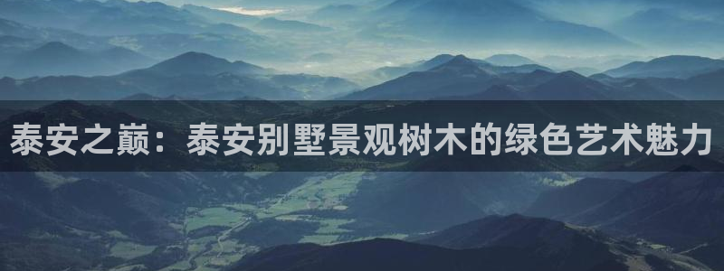 天顺娱乐淄943994