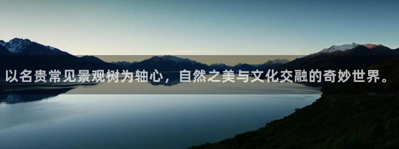 天顺娱乐千67五壹叁八