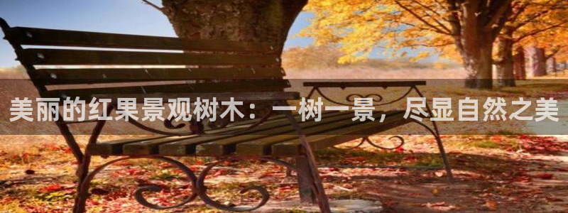 天顺娱乐昆宁判p29999