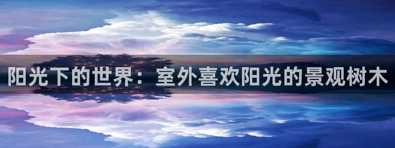 天顺娱乐鸟55312：阳光下的世界：室外喜欢阳光的景观树木
