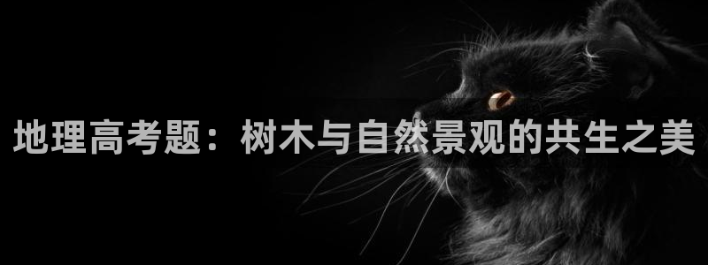 天顺娱乐硬943994