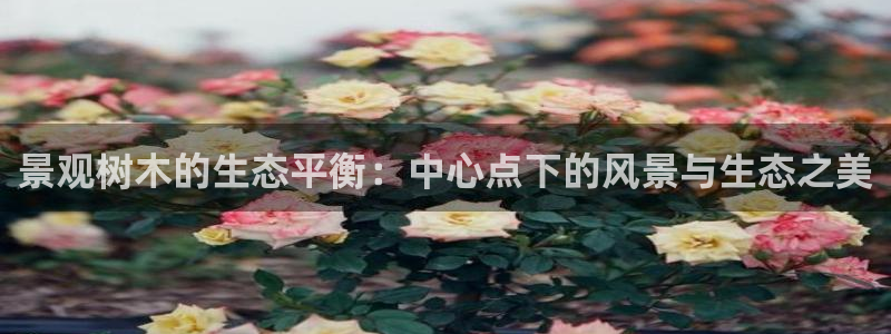 天顺娱乐在8OO57