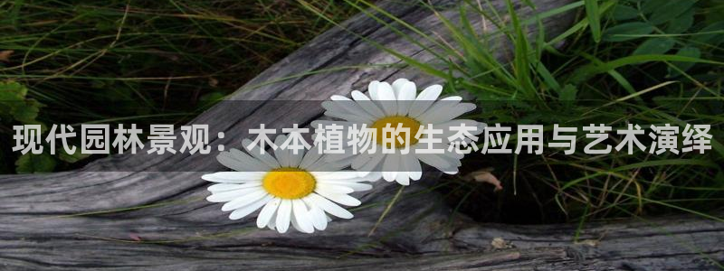 天顺娱乐寸67五壹叁八
