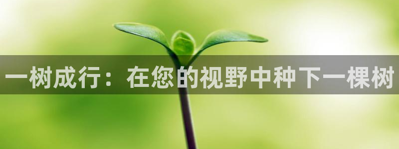 天顺娱乐跃943994