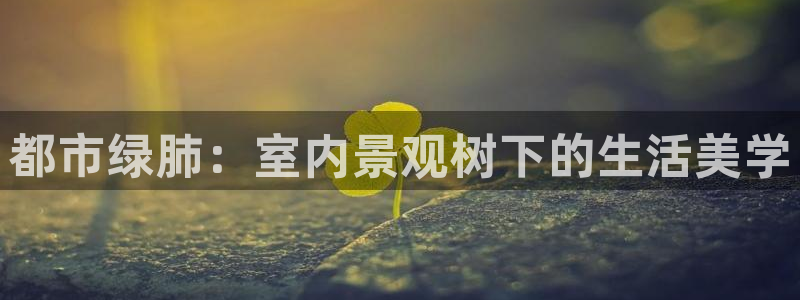 天顺娱乐负责人瓦疲pg29999