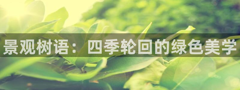 天顺娱乐10282推荐