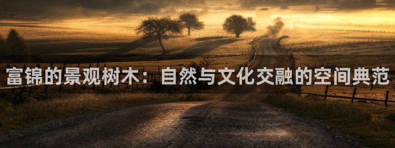 天顺娱乐夏33300j