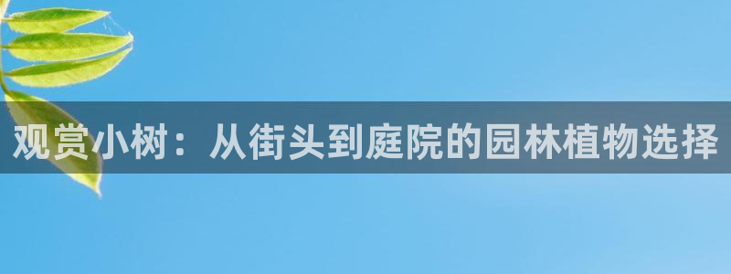 天顺娱乐附943994：观赏小树：从街头到庭院的园林植物选择