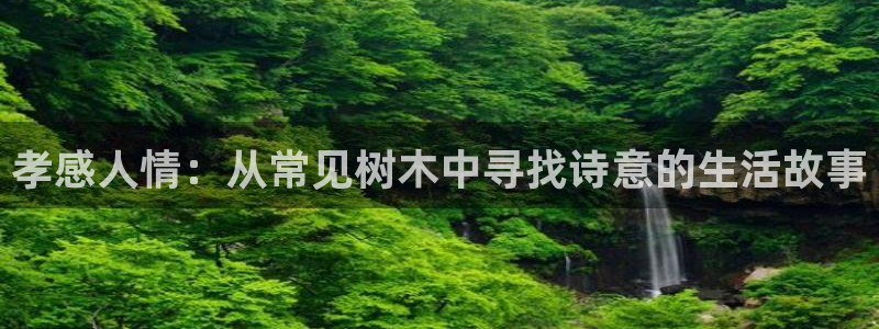 天顺娱乐男亩p官29999：孝感人情：从常见树木中寻找诗意的生活故事