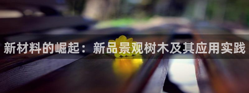 天顺娱乐毡3300
