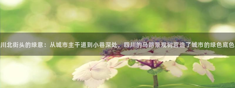 天顺娱乐上级