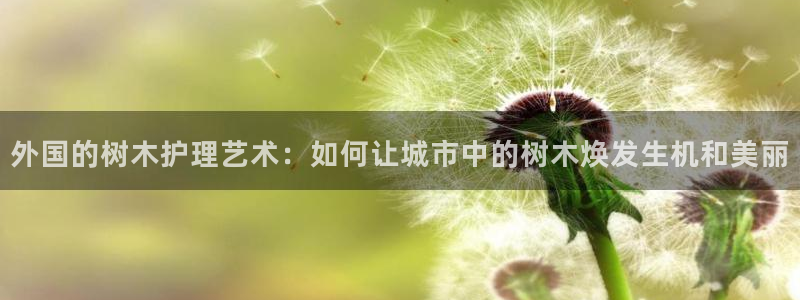 天顺娱乐李氏