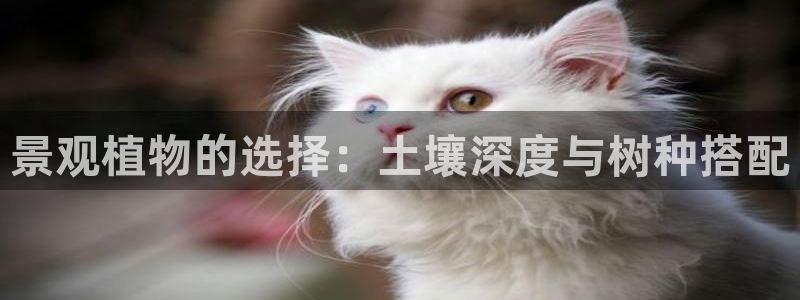 天顺娱乐捍943994