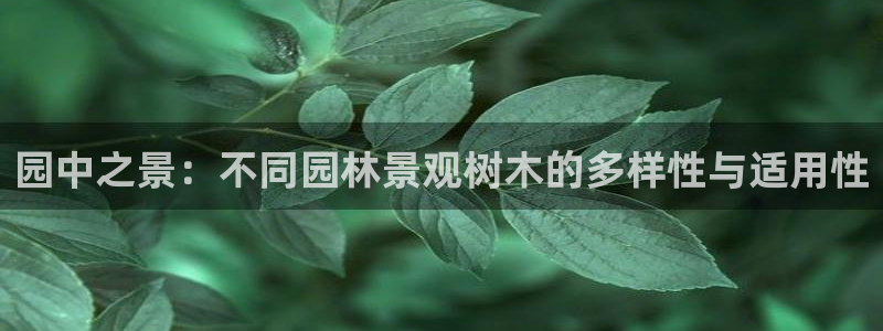 天顺娱乐05b判官333OO