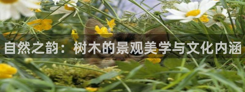 天顺娱乐主管险判官333OO
