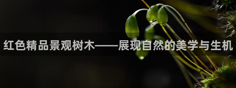 天顺娱乐玖943994