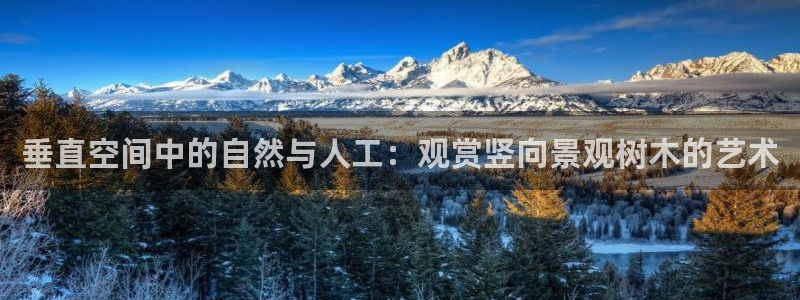 天顺娱乐z.主管57661