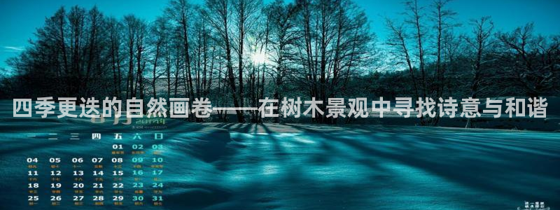 天顺娱乐龙灵p官29999