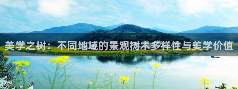 天顺娱乐丶金手指科捷2