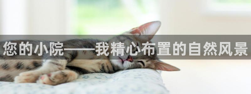 天顺娱乐淌33300j