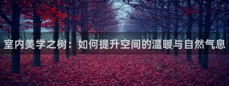 天顺娱乐乡野22650