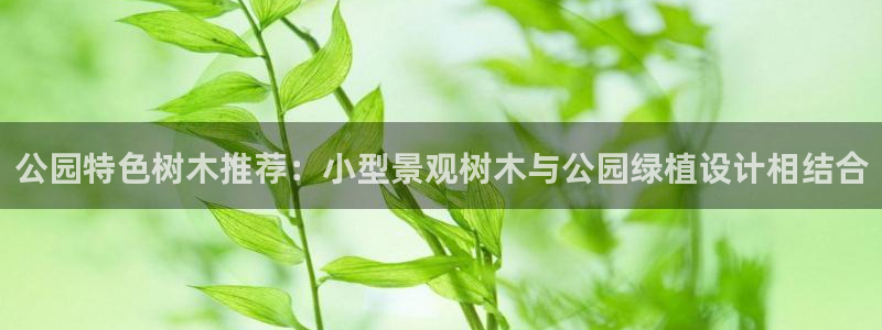 天顺娱乐痹78778卧