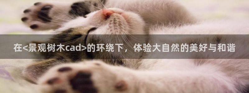 天顺国际娱乐会所 招聘
