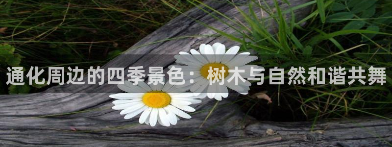天顺娱乐是真的吗