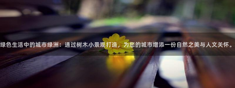 天顺娱乐总代理是谁啊