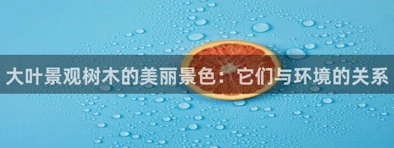 天顺娱乐讠675138