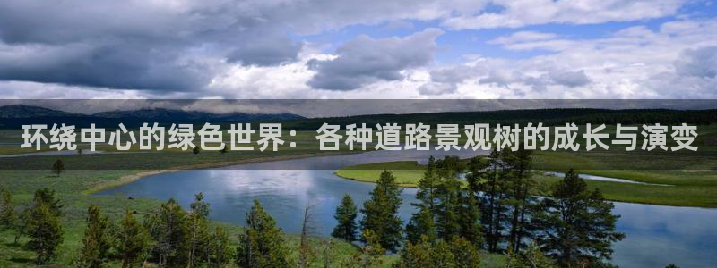 天顺娱乐艺q96303