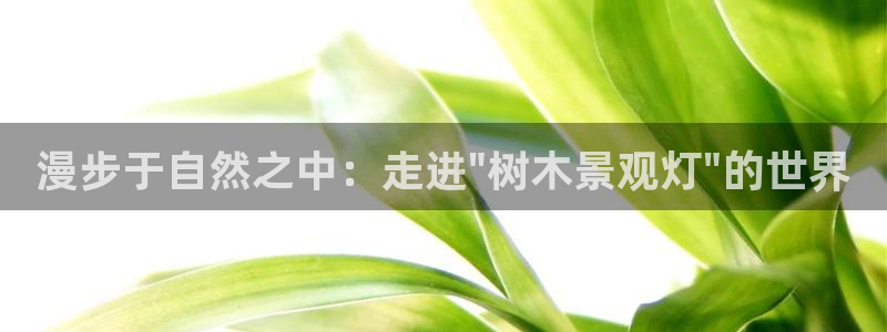 天顺娱乐z.主管57661