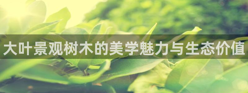 天顺娱乐楼量判p29999