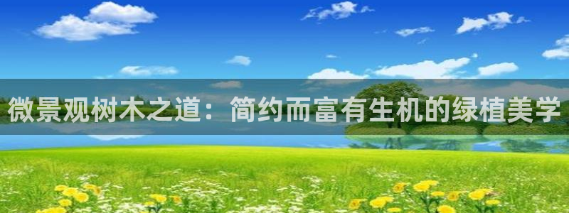 天顺娱乐楼量判p29999
