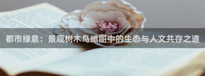 天顺娱乐垂943994