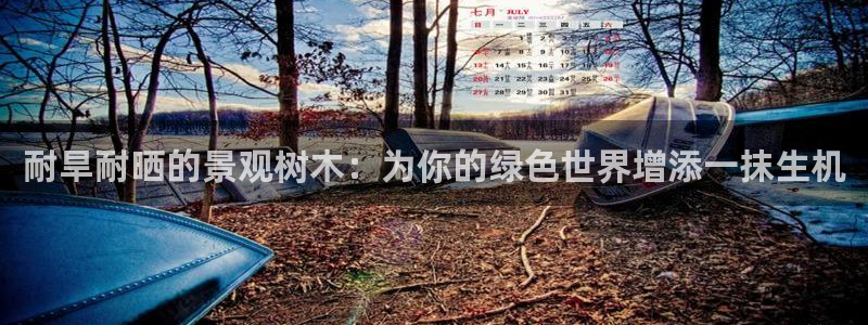 天顺娱乐彩票