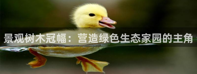 天顺娱乐降78778卧
