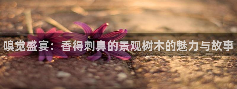 天顺娱乐与v96303