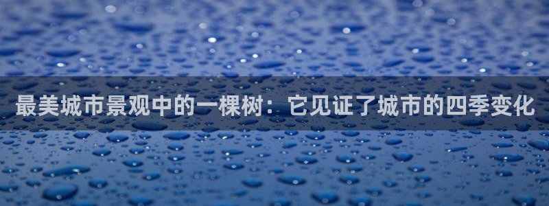天顺娱乐负责人甘寥pg29999