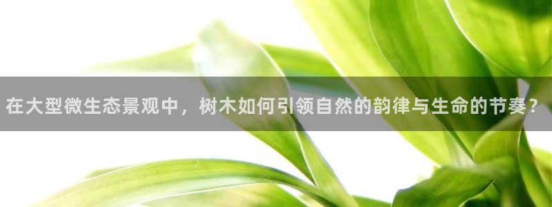 天顺娱乐20i判官333OO