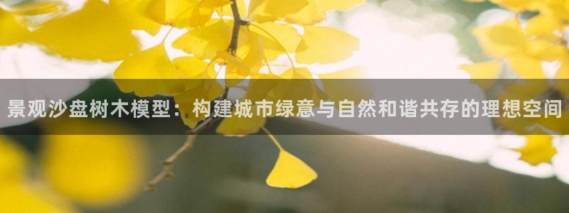 瑞丽天顺娱乐会所