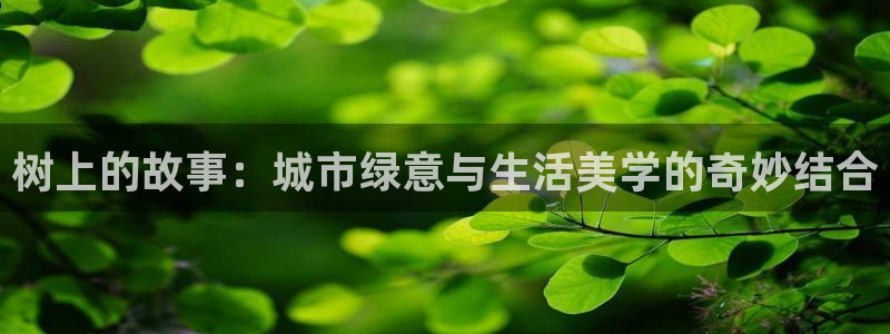 天顺娱乐徒70648抠