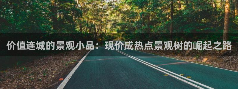天顺娱乐是谁旗下