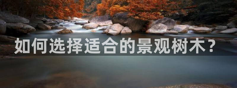 天顺娱乐律78778