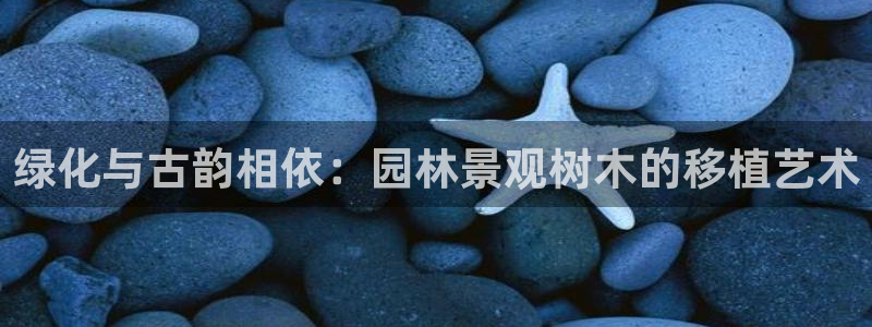 天顺娱乐怎样看K线图