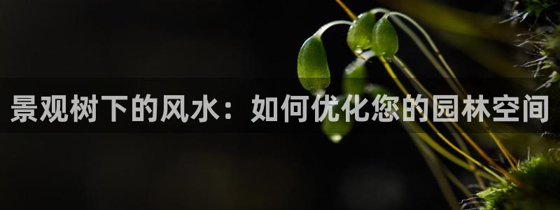 天顺娱乐拖72 559